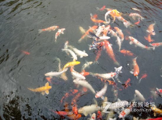 ＃魅蓝Note 5试用＃魅蓝note5性能够用续航出众 畅快体验