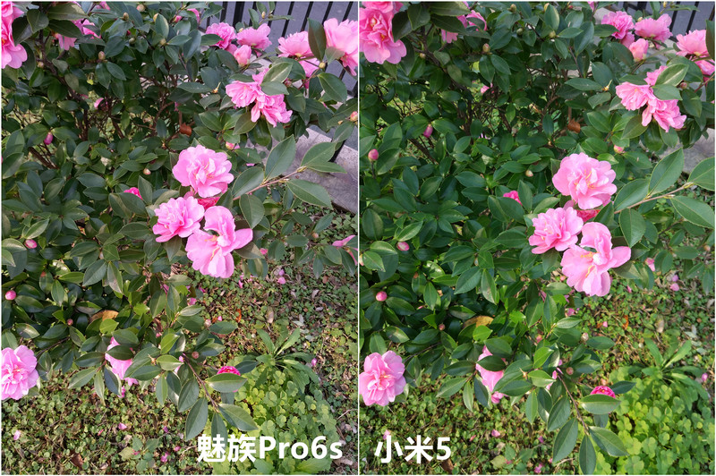 魅族Pro6s照相专项评测：大踏步迈进手机照相第一梯队