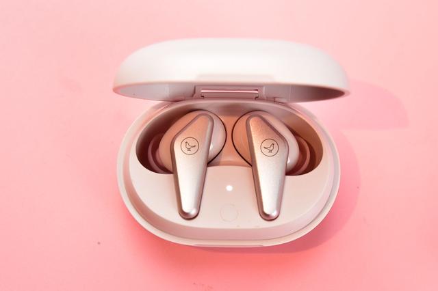 阿思翠S90PRO、小鸟TRACK真无线耳机横评，基因说阐释一切是非