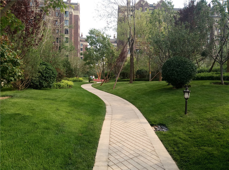 ＃想想还是小的好＃魅蓝3S拍照样张欣赏