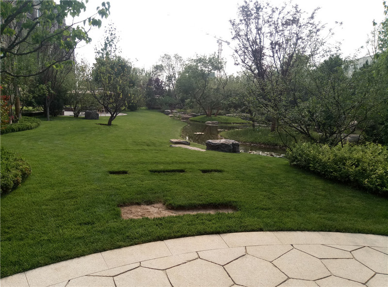 ＃想想还是小的好＃魅蓝3S拍照样张欣赏