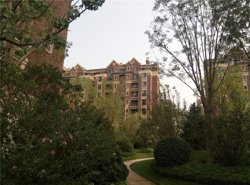 ＃想想还是小的好＃魅蓝3S拍照样张欣赏