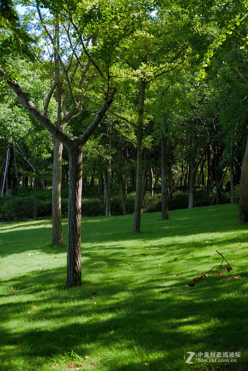 大晴天室外试机——松下GX85