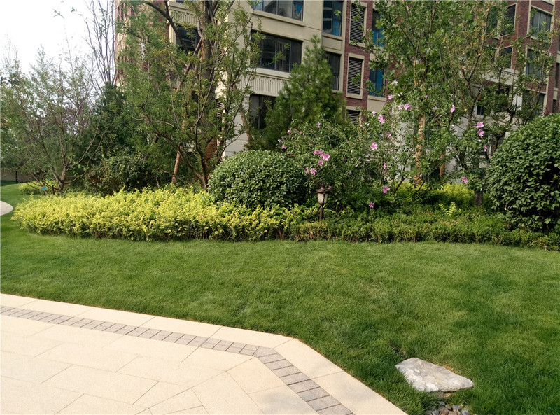 ＃想想还是小的好＃魅蓝3S拍照样张欣赏