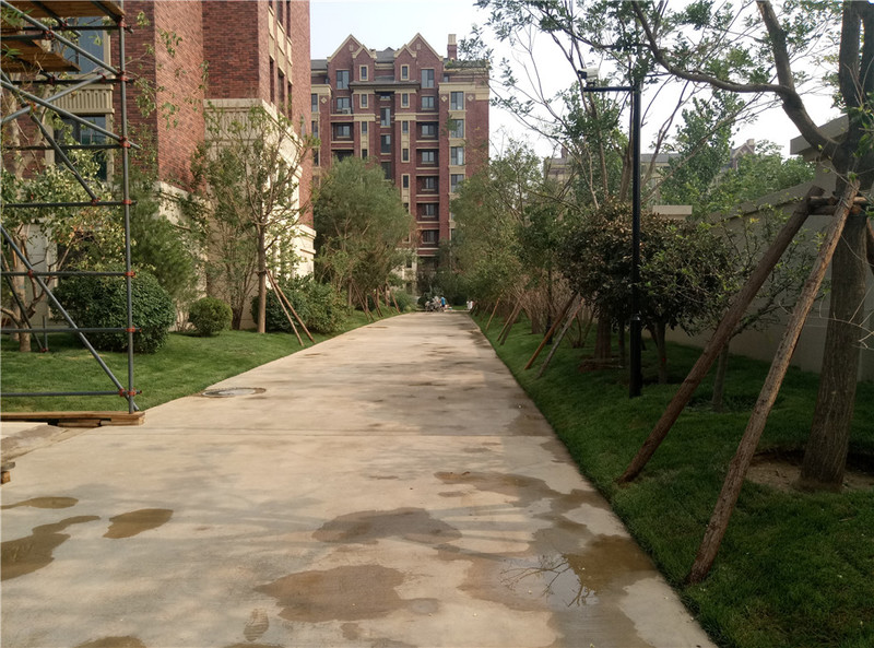 ＃想想还是小的好＃魅蓝3S拍照样张欣赏