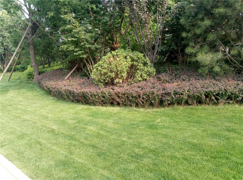 ＃想想还是小的好＃魅蓝3S拍照样张欣赏