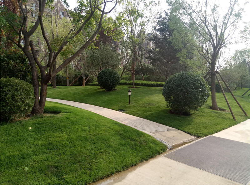 ＃想想还是小的好＃魅蓝3S拍照样张欣赏