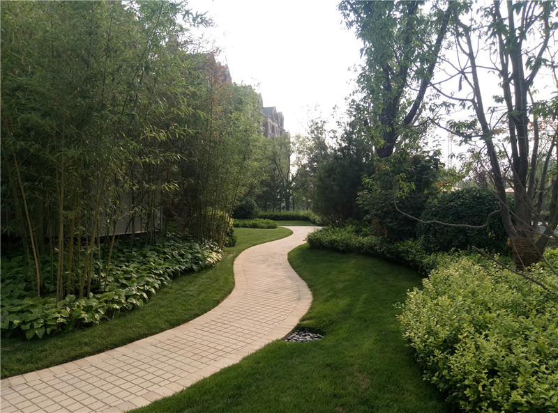 ＃想想还是小的好＃魅蓝3S拍照样张欣赏