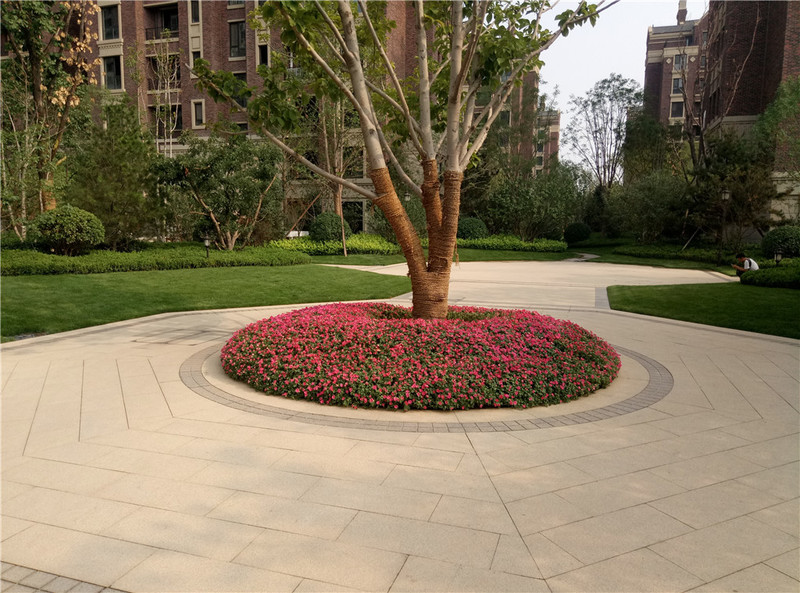 ＃想想还是小的好＃魅蓝3S拍照样张欣赏