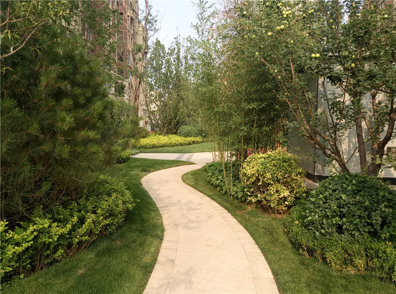 ＃想想还是小的好＃魅蓝3S拍照样张欣赏