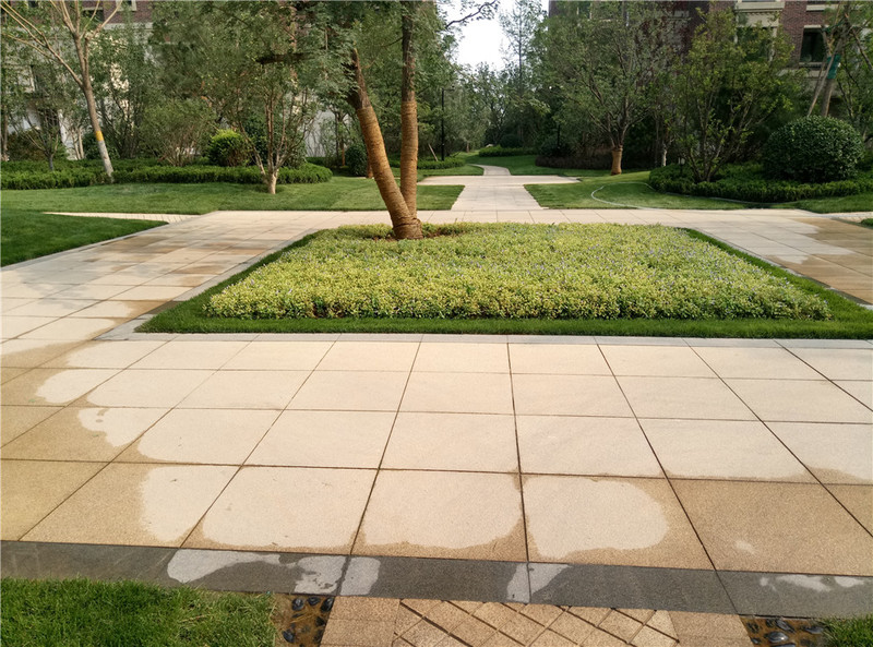 ＃想想还是小的好＃魅蓝3S拍照样张欣赏