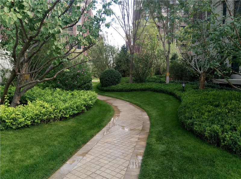 ＃想想还是小的好＃魅蓝3S拍照样张欣赏