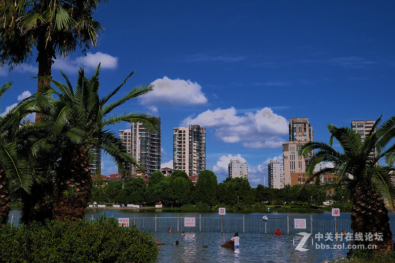 大晴天室外试机——松下GX85
