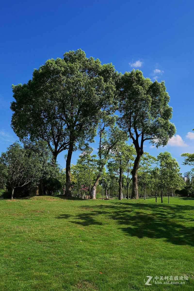 大晴天室外试机——松下GX85