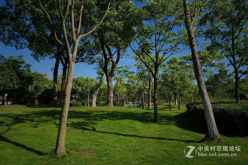 大晴天室外试机——松下GX85