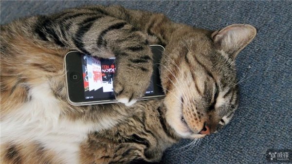 老旧苹果iPhone弃之可惜？其实还能这样用