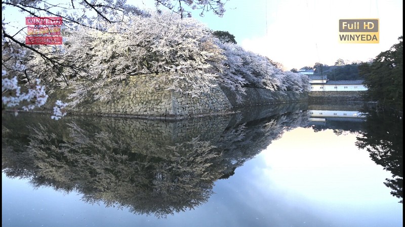 ＃想想还是小的好＃不忘跑分、感受体验——魅蓝3S试用