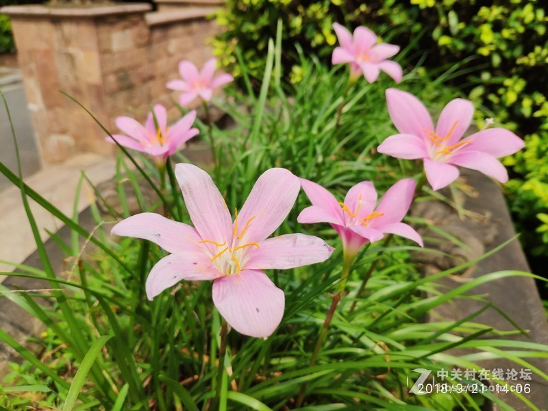 MIX2S近段时间随手拍