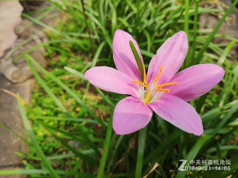 MIX2S近段时间随手拍