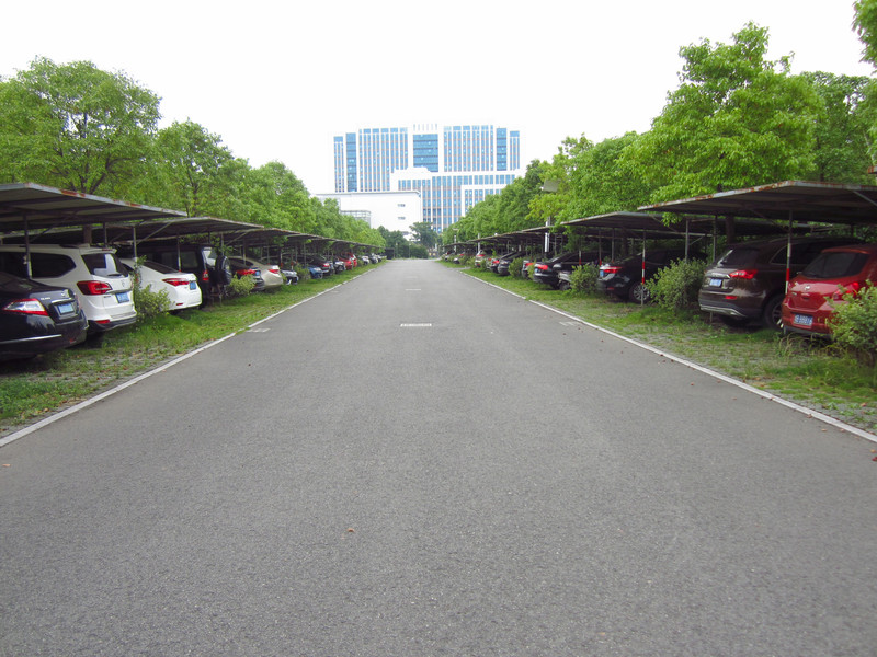 浙江人民公园夏日入伏风情照