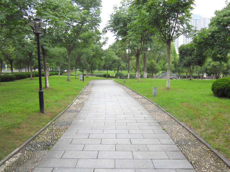 浙江人民公园夏日入伏风情照