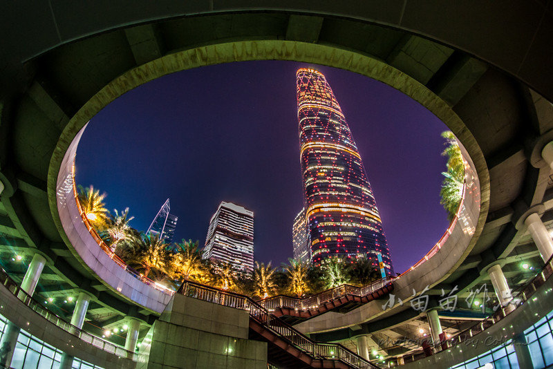 【小苗苗】广州国际灯光节，大场景 【5P】