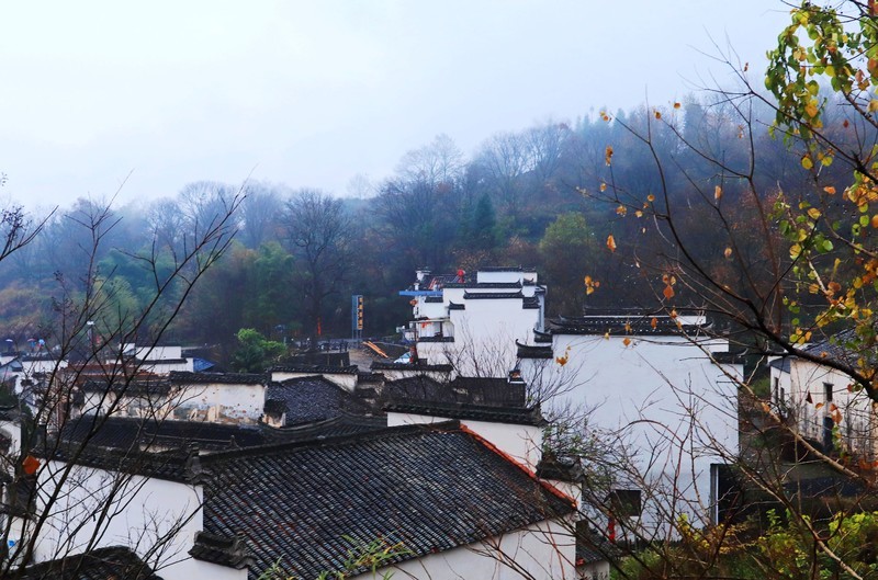 雨後欣賞安徽塔川景區秋色