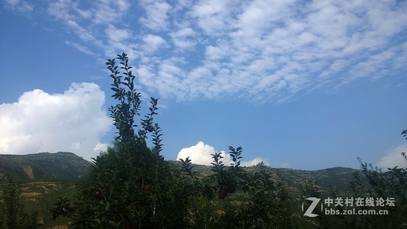 诺基亚来了，切磋相机！