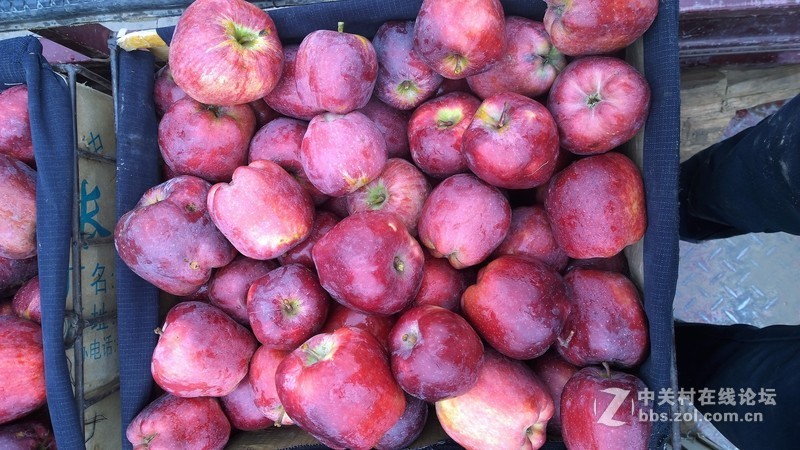 诺基亚来了，切磋相机！