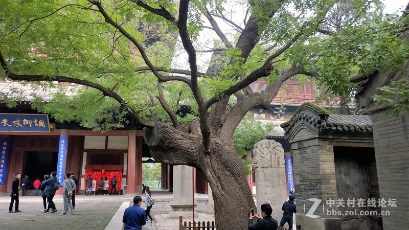 诺基亚来了，切磋相机！