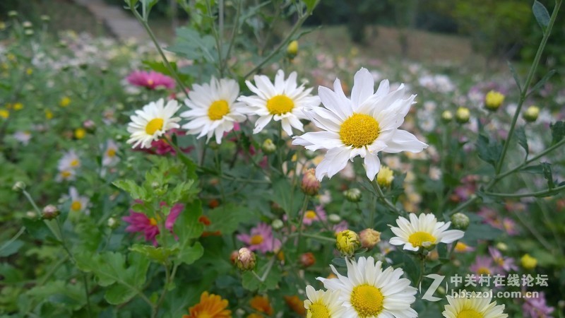 诺基亚来了，切磋相机！