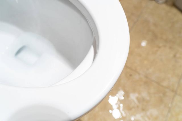 不过就上个厕所吗，花几千块钱装智能马桶的人都是怎么想的？