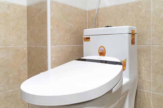 不过就上个厕所吗，花几千块钱装智能马桶的人都是怎么想的？