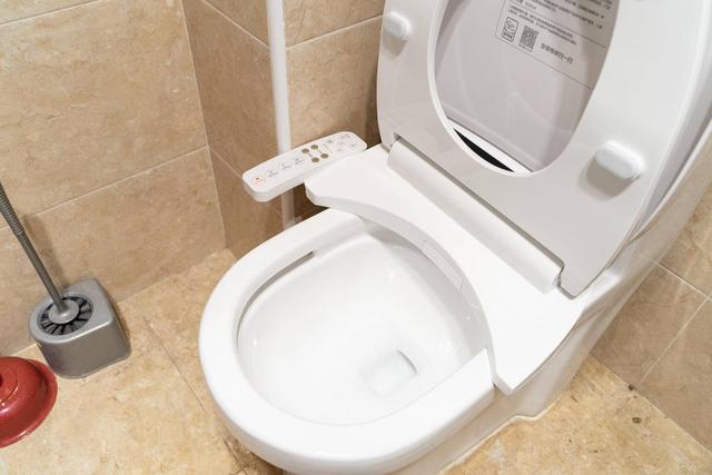 不过就上个厕所吗，花几千块钱装智能马桶的人都是怎么想的？