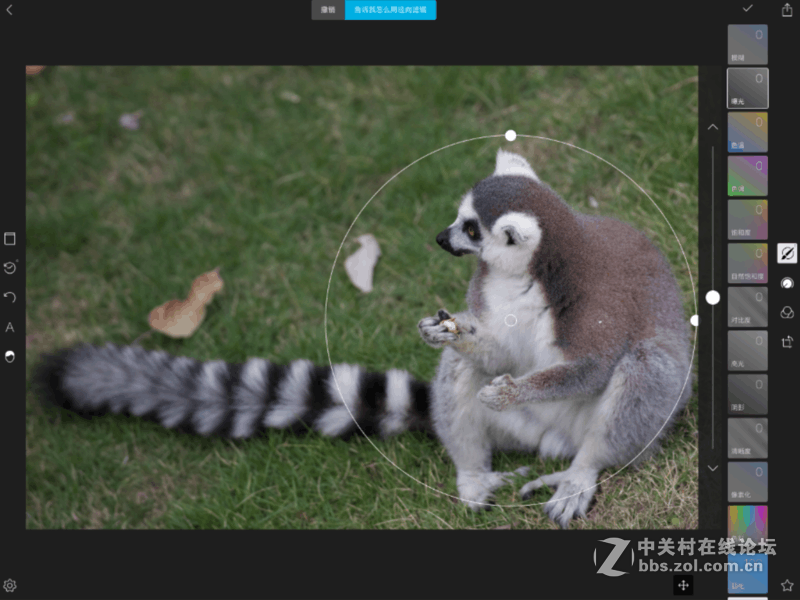 来一波5D4的RAW照片导入技巧