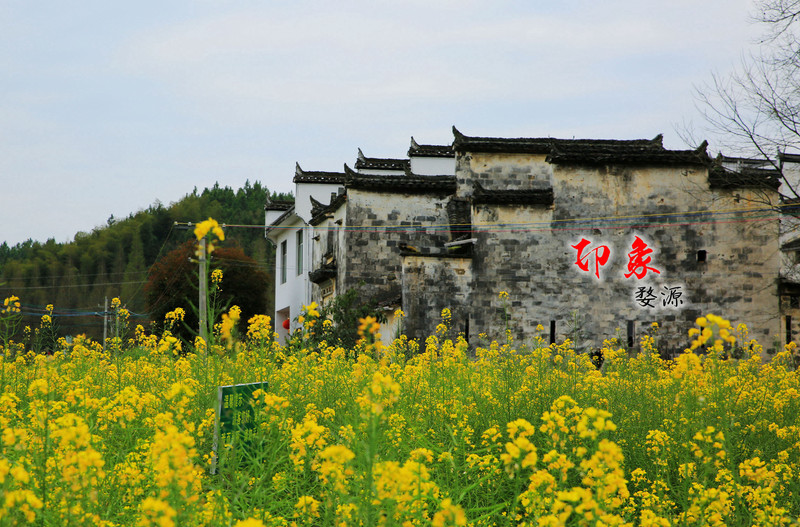 印象-婺源
