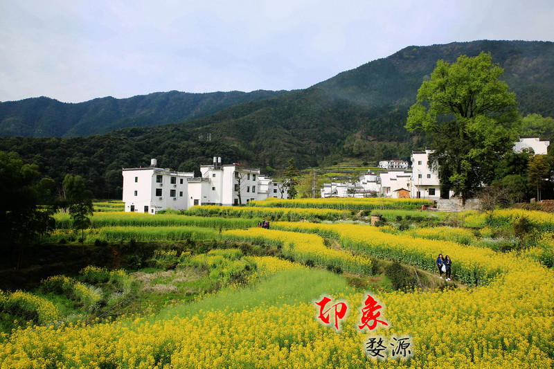 印象-婺源