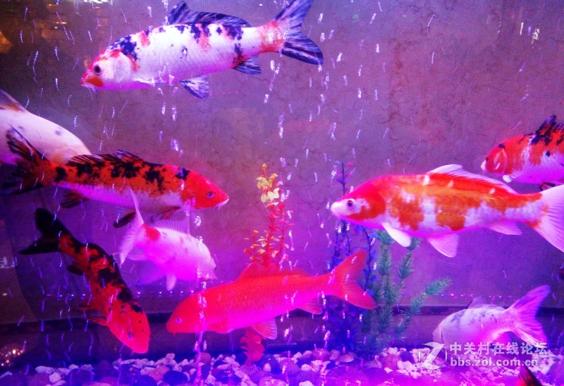 #最美双城记，X5Pro极夜黑试用#【我带着你（X5Pr）你带着双面玻璃，薇妹子和一起飞】