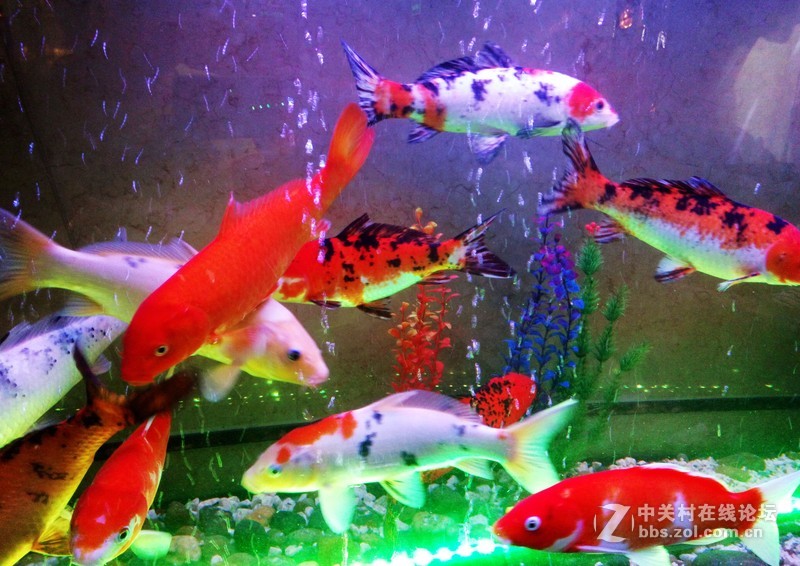 #最美双城记，X5Pro极夜黑试用#【我带着你（X5Pr）你带着双面玻璃，薇妹子和一起飞】