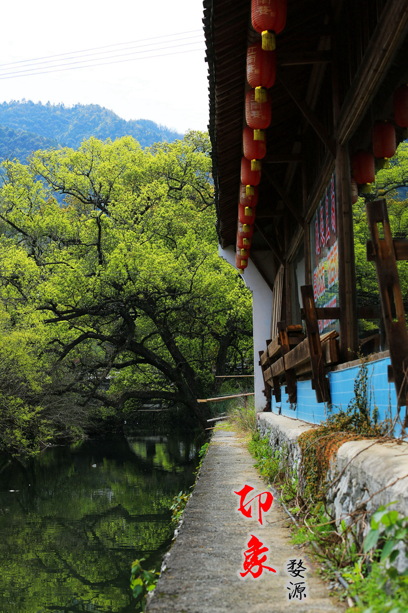 印象-婺源