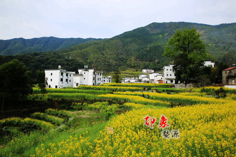印象-婺源