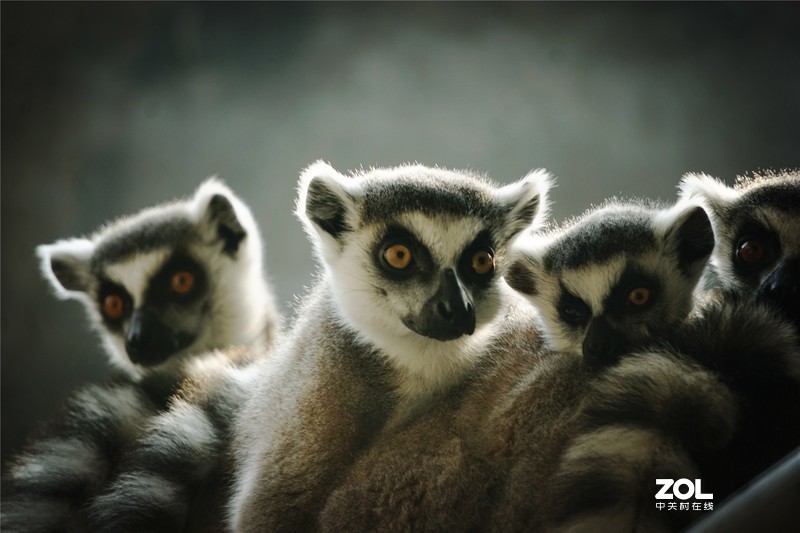 2019，碎片记忆。。。