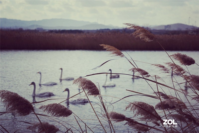 2019，碎片记忆。。。