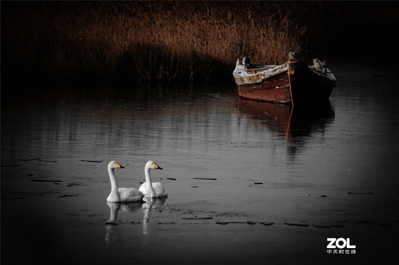 2019，碎片记忆。。。