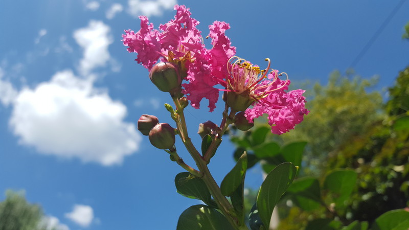 #版主试用#星空体育平台GALAXY S6性能和拍照测试