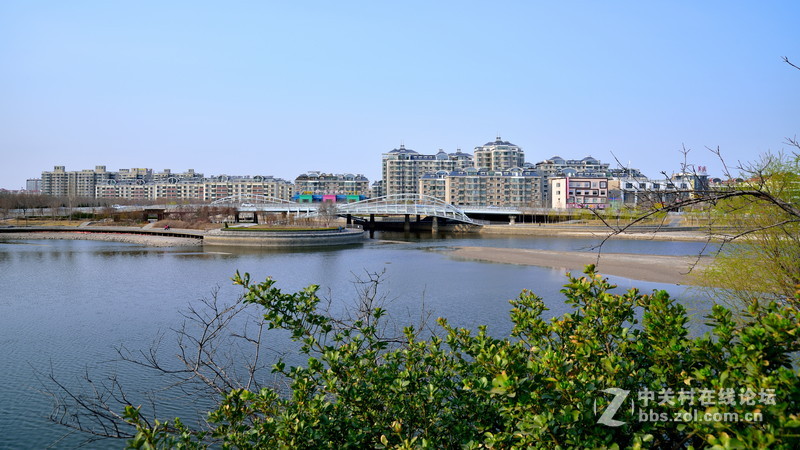 影友处购入适马24-105一枚,今天拿出去嘚瑟了下!