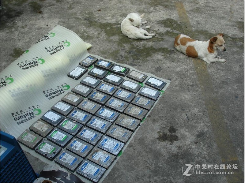 115包邮出500G硬盘