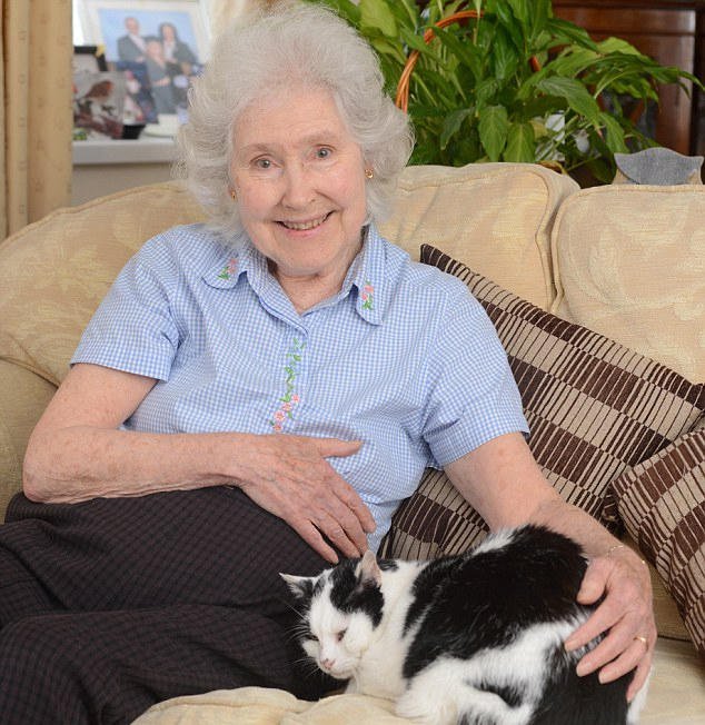 英国一肥猫通过游泳减肥萌翻网友