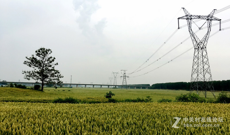 麦田     SE 随拍