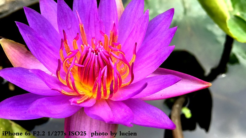 6S  布吉甘坑小镇